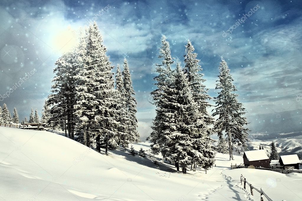 Idyllic winter landscape with snow covered fir tress