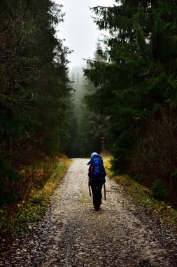 Trekking, onun bebek bebek sırt çantasında taşıyan genç anne 