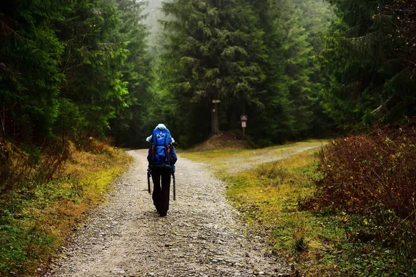 Ung mamma trekking, bära sin baby i en baby ryggsäck — Stockfoto