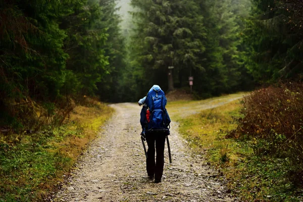 Joven madre trekking, llevando a su bebé en una mochila de bebé —  Fotos de Stock