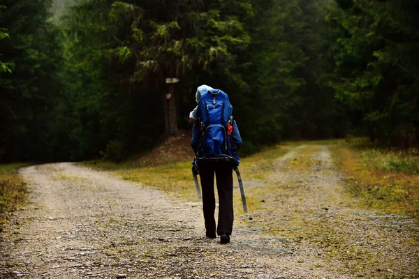 Young mother trekking, carrying her baby in a baby backpack — Stock Photo, Image