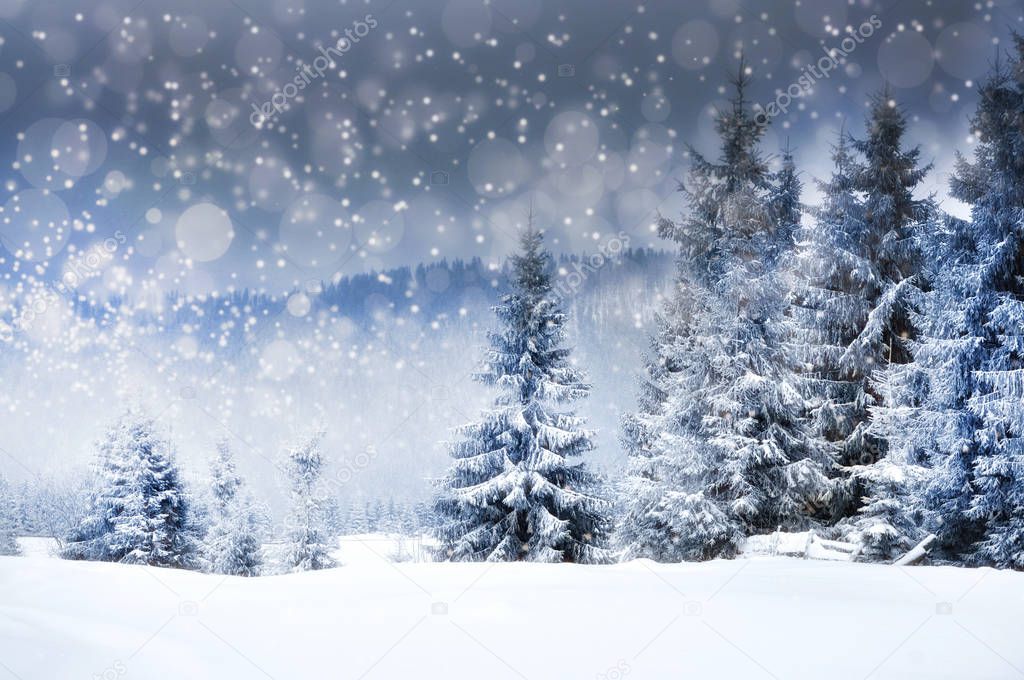 Christmas background with snowy fir trees