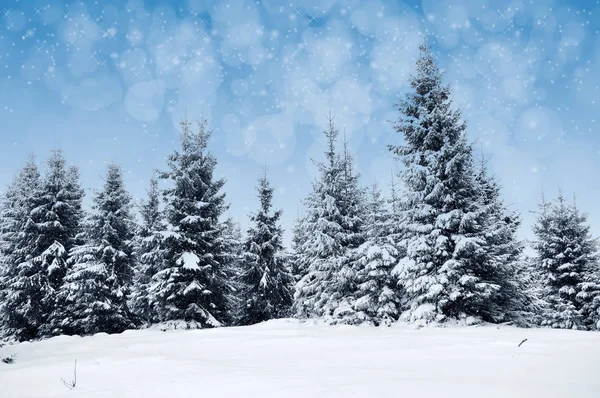 Zimowy krajobraz ze śnieżnymi drzewami i płatkami śniegu — Zdjęcie stockowe