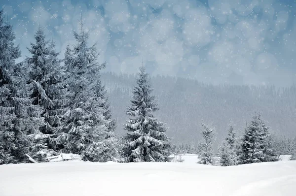 雪の木や雪の結晶と冬の風景 — ストック写真