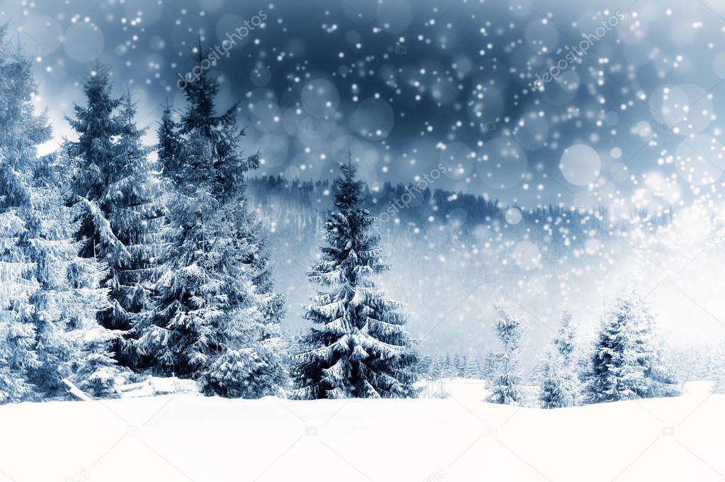 Christmas background with snowy fir trees