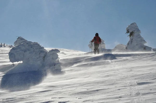 Trekking-Frau wandert in wunderschönen Winterbergen — Stockfoto
