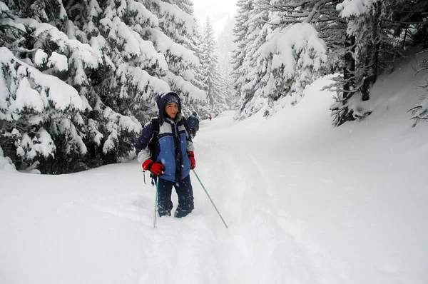 Escursione donna seguendo un sentiero innevato nella foresta di abeti rossi — Foto Stock