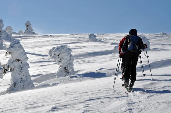 美しい冬山ツアー バックカントリー スキーヤー — ストック写真