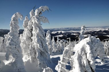 Noel kış manzarası 