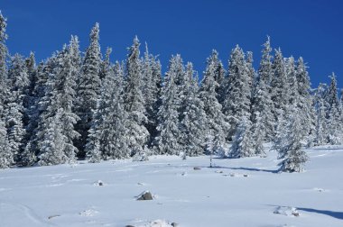 Noel kış manzarası 