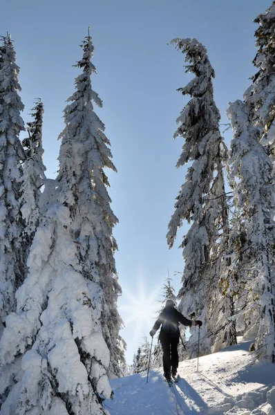 Esquiadores de fondo disfrutando de la primera nieve de invierno — Foto de Stock