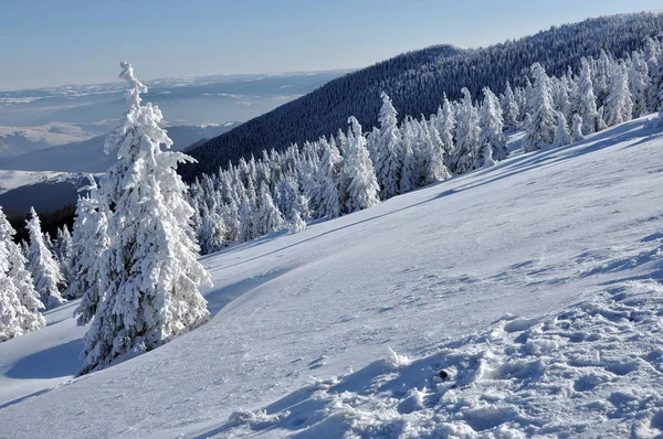 Paisaje invernal con árboles cubiertos de nieve — Foto de Stock