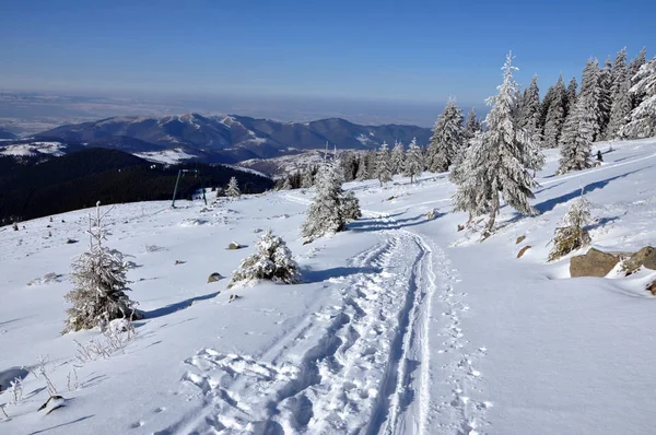 Frostiga och solig dag i bergen — Stockfoto