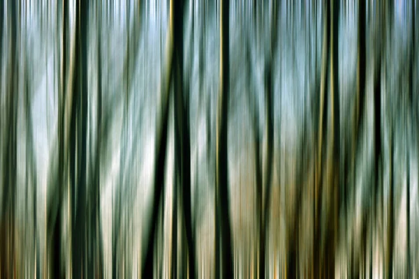 Abstrakt rörelse oskärpa av träd i en skog — Stockfoto