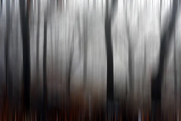 Desenfoque abstracto del movimiento de los árboles en un bosque —  Fotos de Stock