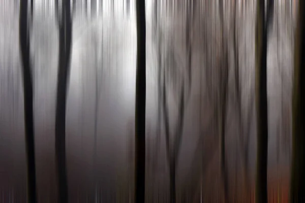 Desfoque de movimento abstrato de árvores em uma floresta — Fotografia de Stock