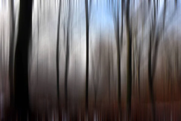 Abstraktní pohyb rozmazání stromů v lese — Stock fotografie