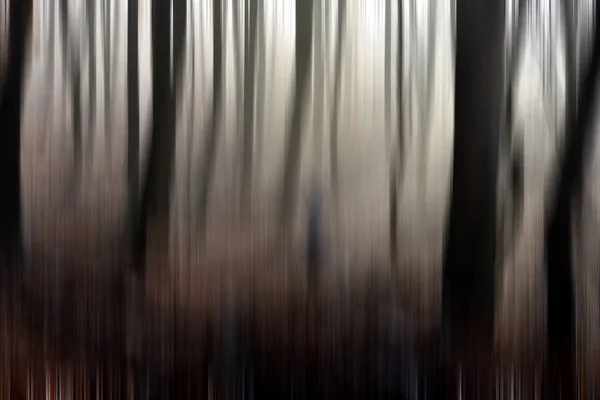 Streszczenie ruchu rozmycie drzew w lesie — Zdjęcie stockowe