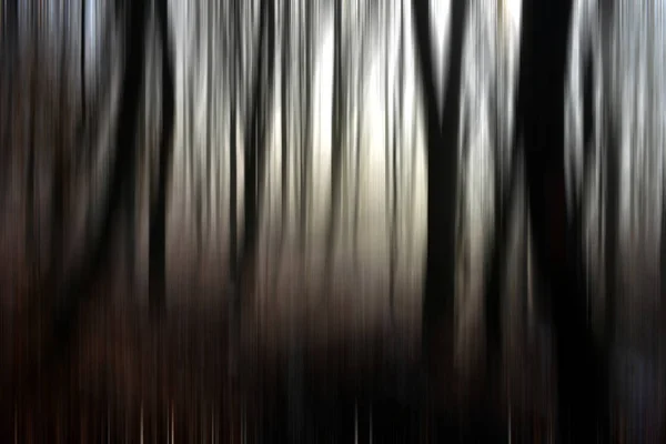 Desenfoque abstracto del movimiento de los árboles en un bosque — Foto de Stock