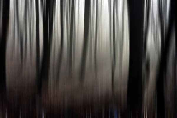 Abstract bewegingsvervaging van bomen in een bos — Stockfoto
