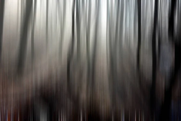Desfoque de movimento abstrato de árvores em uma floresta — Fotografia de Stock