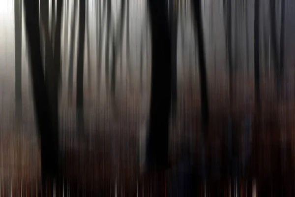 Desfoque de movimento abstrato de árvores em uma floresta — Fotografia de Stock