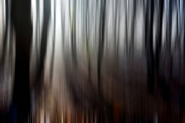 Desfoque de movimento abstrato de árvores em uma floresta — Fotografia de Stock