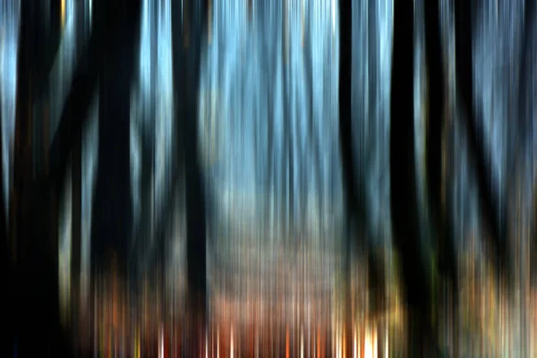 Abstract motion blur of trees in a forest — Stock Photo, Image