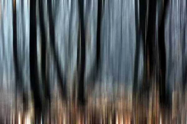 Desfoque de movimento abstrato de árvores em uma floresta — Fotografia de Stock