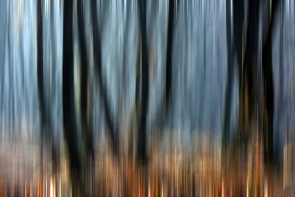 Desenfoque abstracto del movimiento de los árboles en un bosque — Foto de Stock