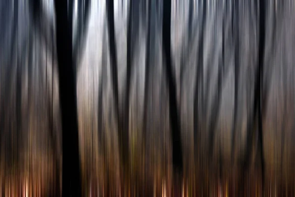 Desfoque de movimento abstrato de árvores em uma floresta — Fotografia de Stock