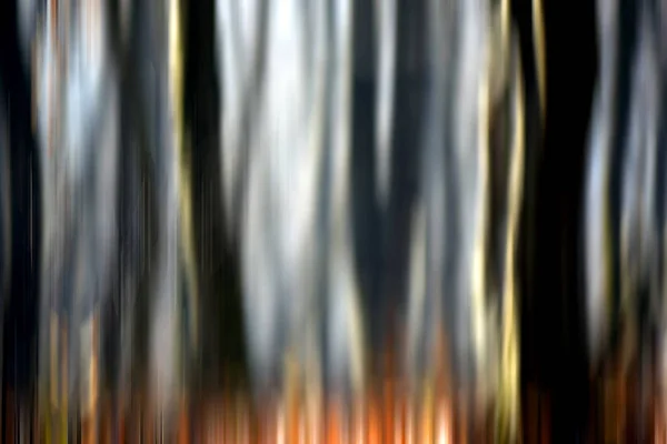 Desfoque de movimento abstrato de árvores em uma floresta — Fotografia de Stock