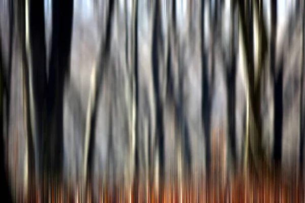 Desenfoque abstracto del movimiento de los árboles en un bosque —  Fotos de Stock
