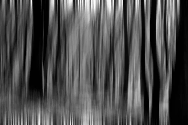 Abstract bewegingsvervaging van bomen in een bos — Stockfoto