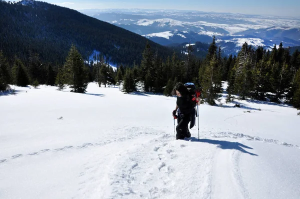 Žena, která dělá zimní trekking v horách — Stock fotografie