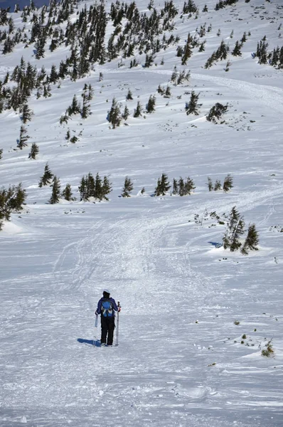 Donna che fa trekking invernale in montagna — Foto Stock