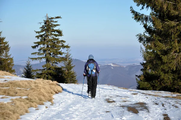 Kobieta robi zimowe trekking w górach — Zdjęcie stockowe