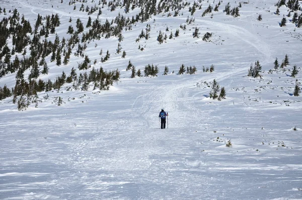 Woman doing winter trekking in the mountains — Stock Photo, Image