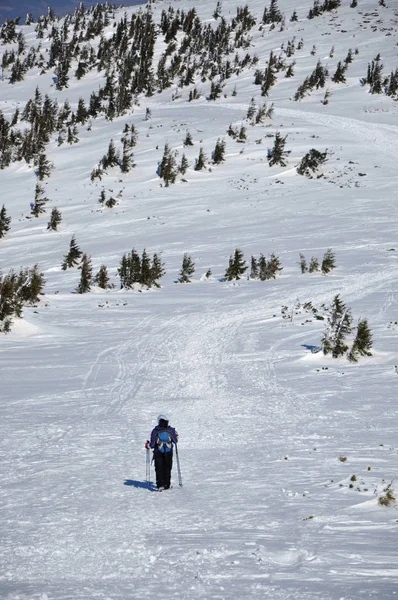 Femme faisant des randonnées hivernales dans les montagnes — Photo
