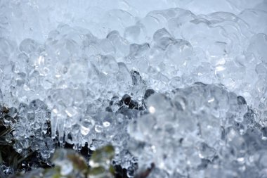 Soyut buz kristalleri donmuş bitkiler üzerinde 