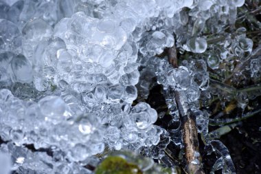Soyut buz kristalleri donmuş bitkiler üzerinde 