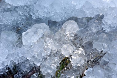 Soyut buz kristalleri donmuş bitkiler üzerinde 