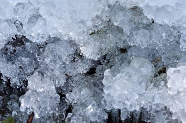 Soyut buz kristalleri donmuş bitkiler üzerinde 