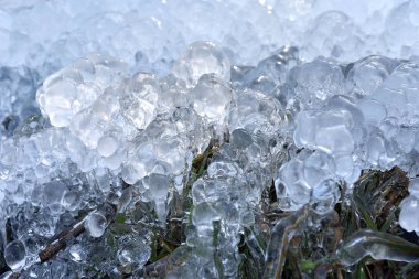 Soyut buz kristalleri donmuş bitkiler üzerinde 