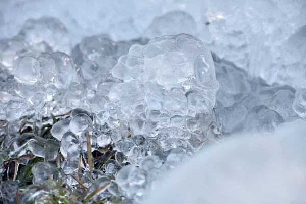 Abstract ice crystals on frozen plants — Stock Photo, Image