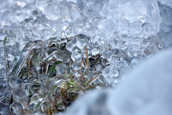 Cristalli di ghiaccio astratti su piante congelate — Foto Stock