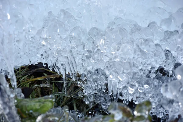 Cristales de hielo abstractos en plantas congeladas — Foto de Stock