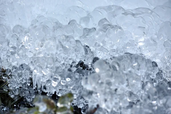 Abstraktní ledové krystaly na zmrzlé rostliny — Stock fotografie