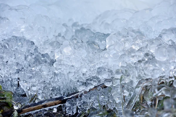 냉동된 식물에 추상 얼음 결정 — 스톡 사진