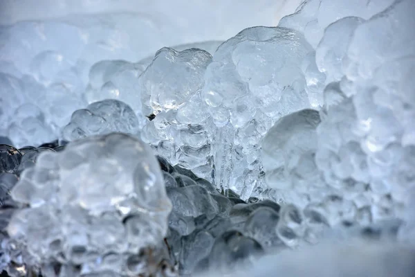Absztrakt jégkristályok a fagyasztott növények — Stock Fotó
